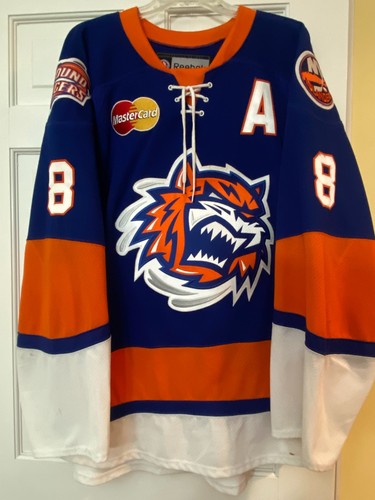 Bridgeport sound tigers game - bridgeport,