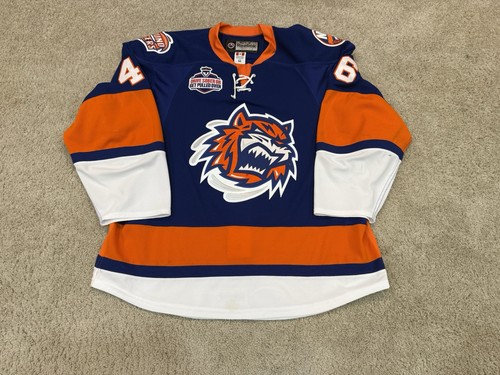 Bridgeport sound tigers 18 - bridgeport,
