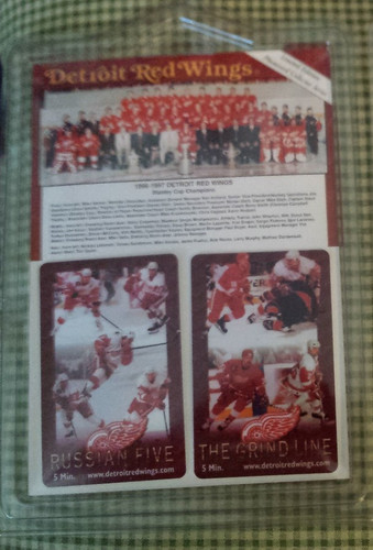 Detroit red wings limited - wings,